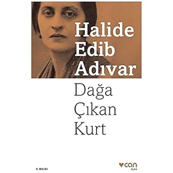 Dağa Çıkan Kurt
