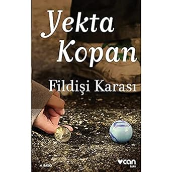 Fildişi karasi