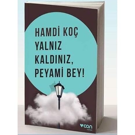 Yalnız Kaldınız, Peyami Bey!