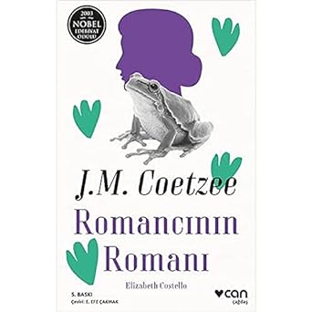Romancının Romanı