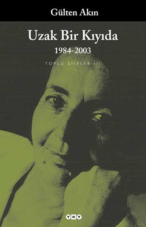 Uzak Bir Kıyıda 1984-2003