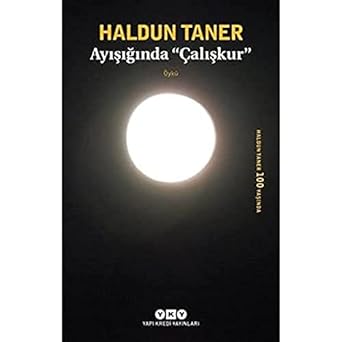 Ayışığında "Çalışkur"