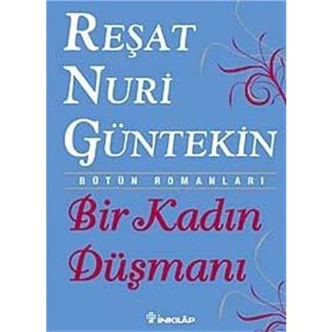 Bir Kadın Düşmanı: Bütün Romanları