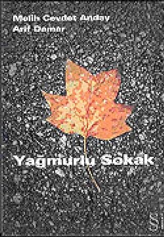 Yağmurlu Sokak