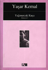 Yağmurcuk Kuşu