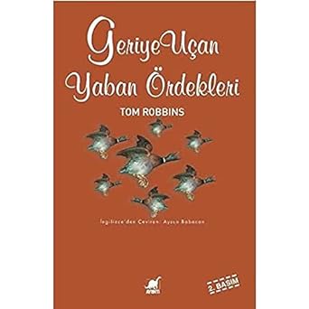 Geriye Uçan Yaban Ördekleri