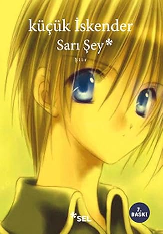 Sari şey