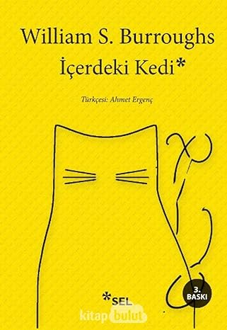İçerdeki Kedi