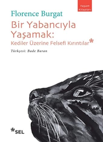 Bir Yabancıyla Yaşamak: Kediler Üzerine Felsefi Kırıntılar