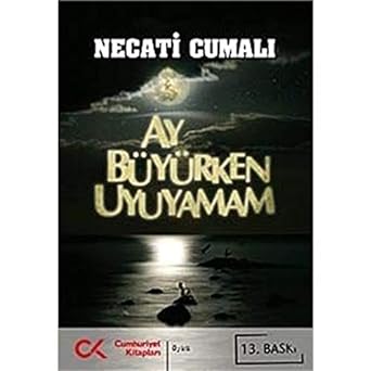 Ay Büyürken Uyuyamam