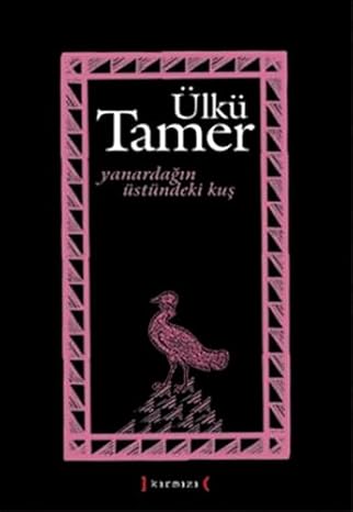 Yanardağin üstündeki kuş