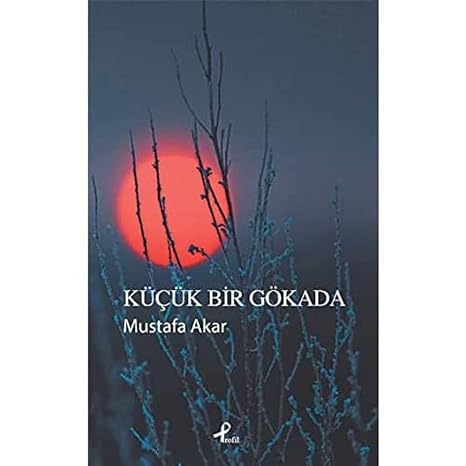 Küçük bir gökada