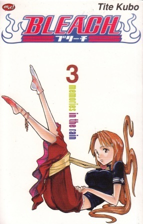 Bleach Vol. 3: Memories In The Rain