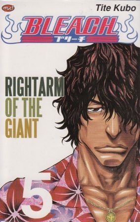 Bleach Vol. 5: Right Arm of the Giant