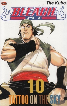 Bleach Vol. 10: Tattoo On The Sky