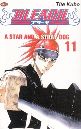 Bleach Vol. 11: A Star and a Stray Dog