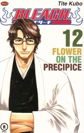 Bleach Vol. 12: Flower on the Precipice