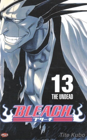 Bleach Vol. 13: Undead