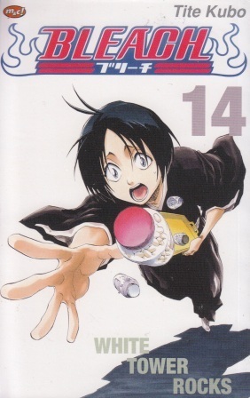Bleach Vol. 14: White Tower Rocks