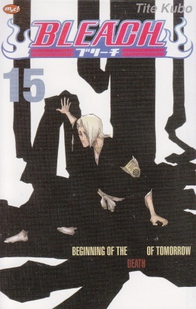 Bleach Vol. 15: Beginning Of The Death Of Tomorrow