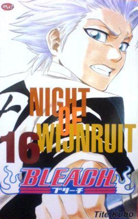 Bleach Vol. 16: Night of Wijnruit