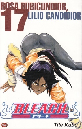 Bleach Vol. 17: Rosa Rubicundior, Lilio Candidior