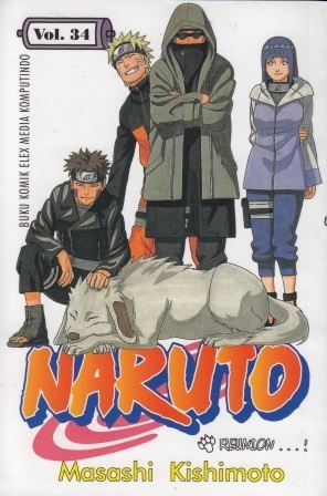 Naruto Vol. 34: Reunion...!