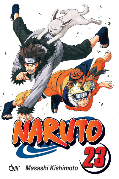 Naruto, Vol. 23: Contratempos