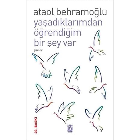 Yaşadıklarımdan Öğrendiğim Bir Şey Var