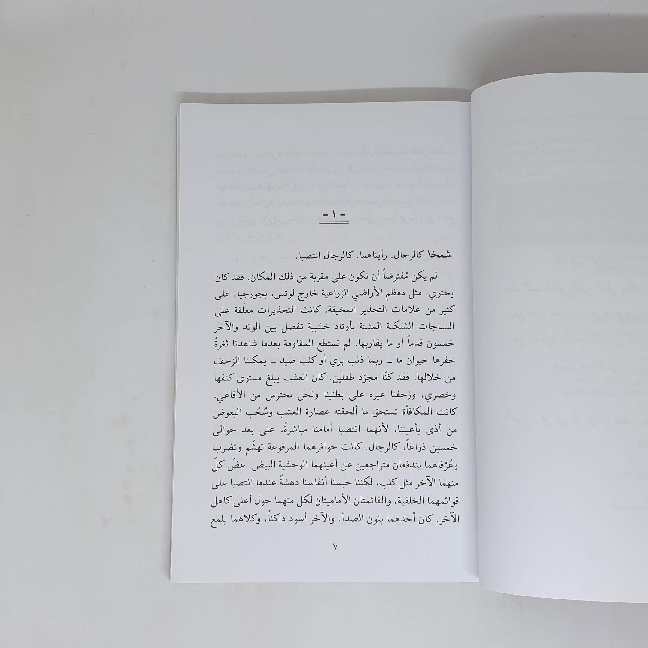 الديار