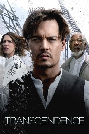 Transcendence: Identidad virtual