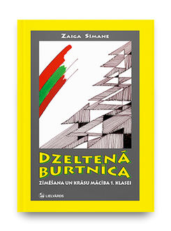Dzeltena burtnica