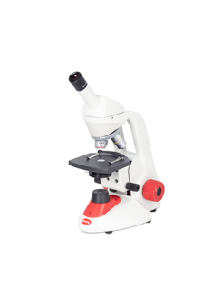 1100102900022 red100 00