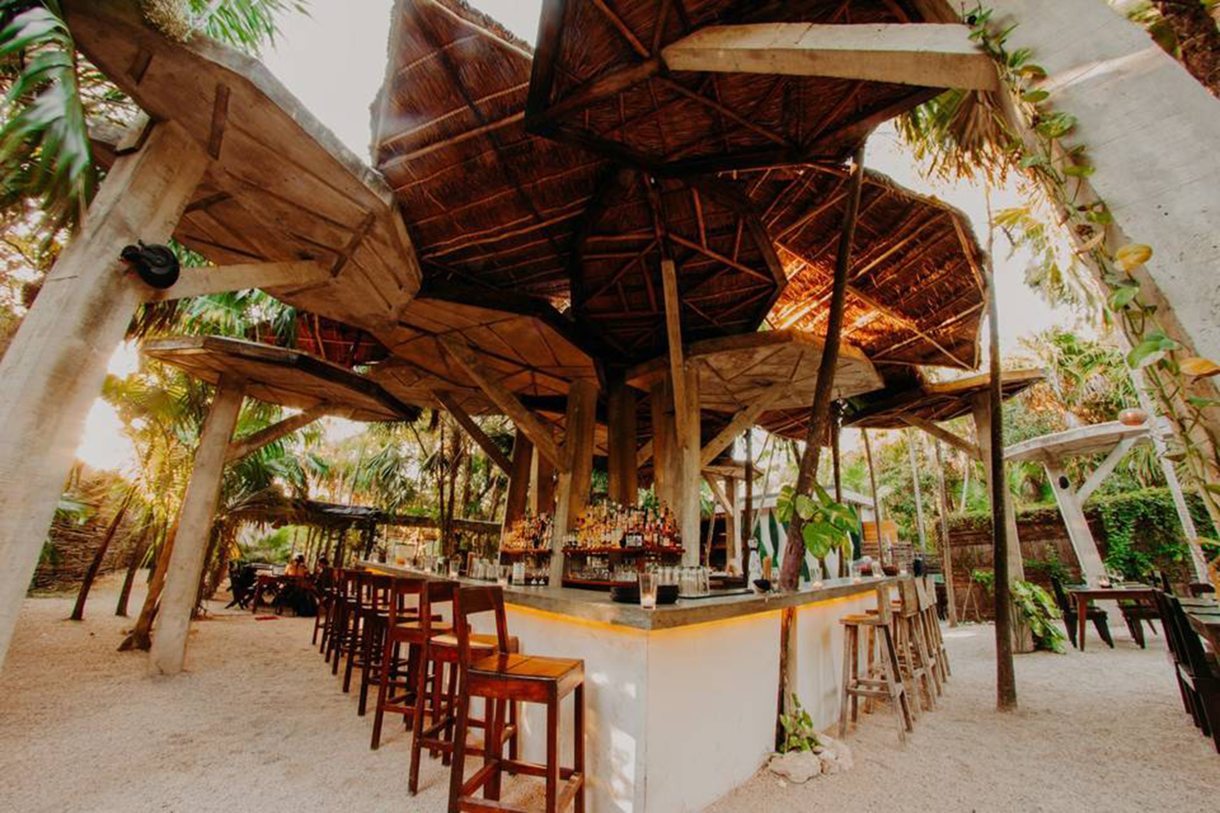 Nestled in the deep, lash jungle of Tulum, at the edge of the Sian Ka’an UNESCO World Heritage biosphere reserve, Wild pays tribute to the diverse landscape of the Caribbean with a hint of love for Mediterranean tastes. Its forward-thinking yet tropical design concept is highlighted by the large concrete pillars with their top cut into leave-shaped forms, creating an one-of-a-kind concrete forest. - Secondary Image