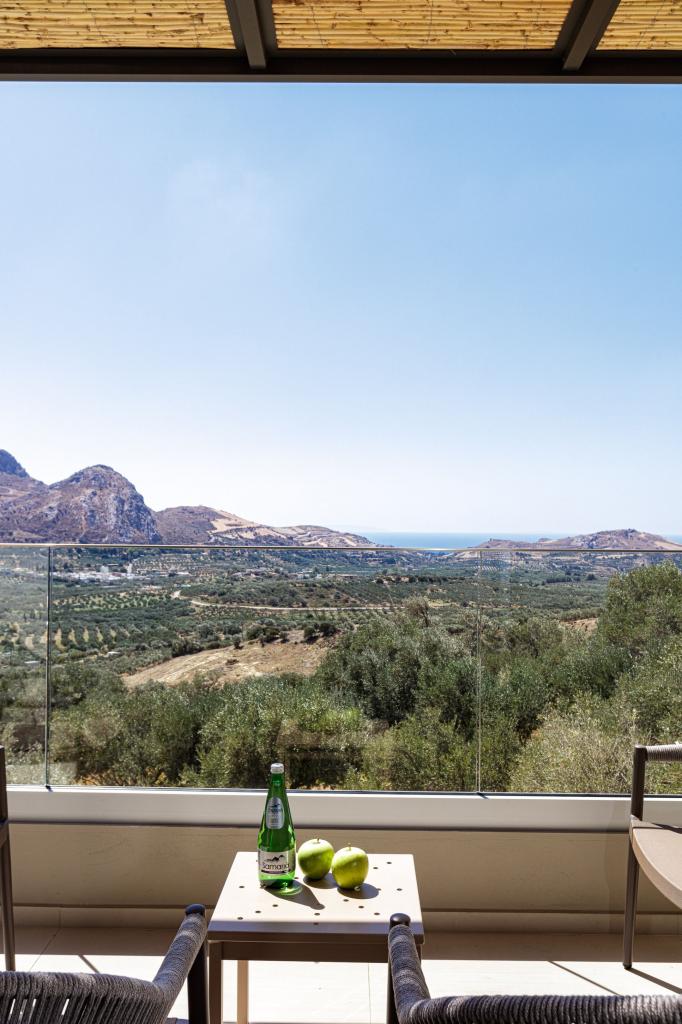 Album Image  #127441