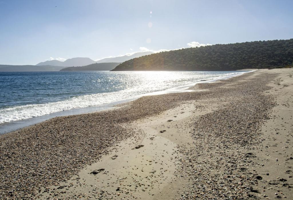 Swimming & Beach time