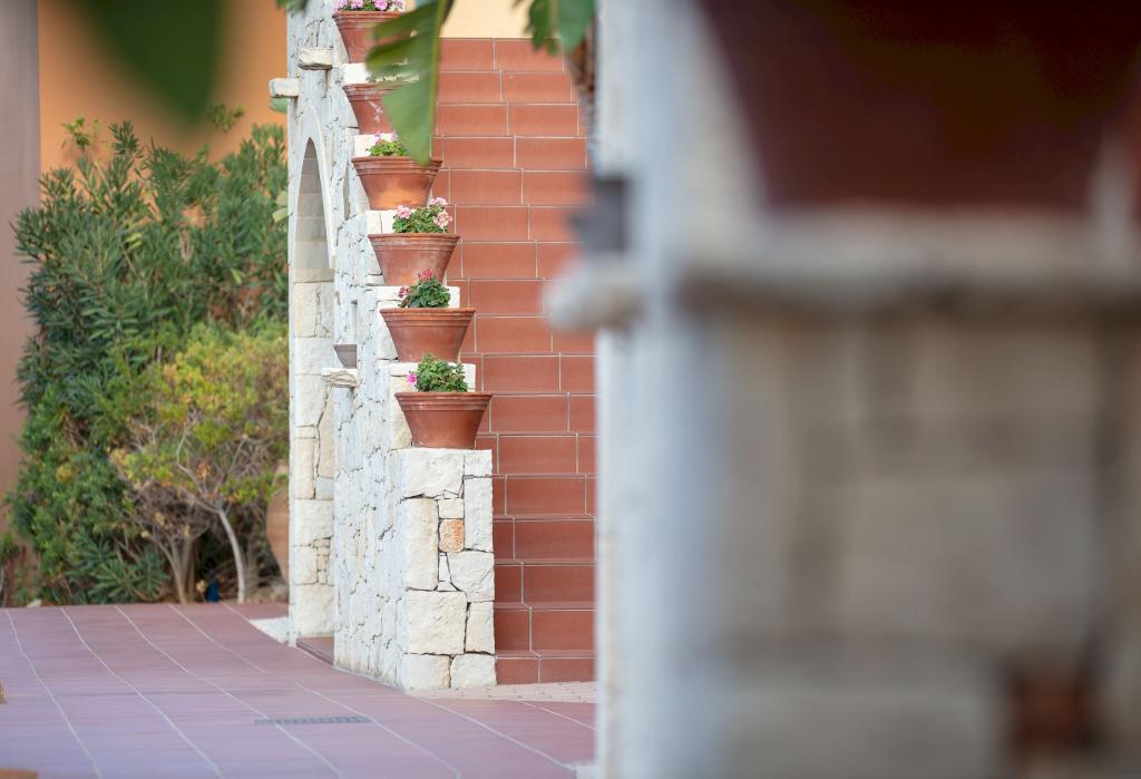 Album Image  #133472