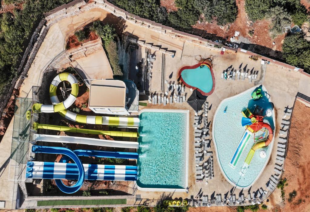 Album Image  #136195