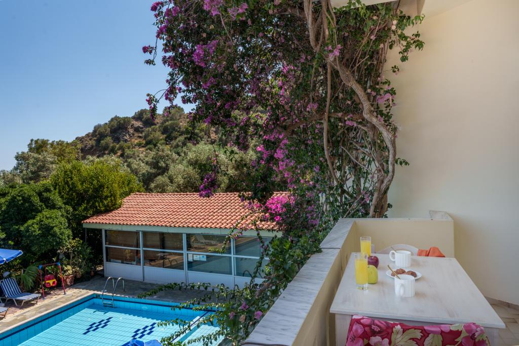 Album Image  #135349