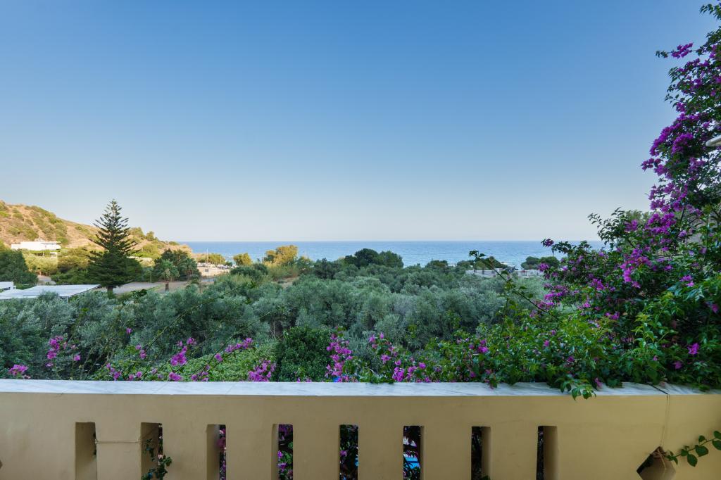 Album Image  #135313