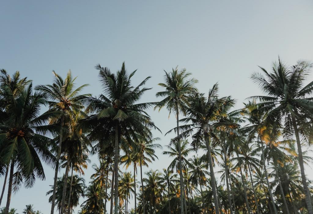 Rethymno Preveli beach