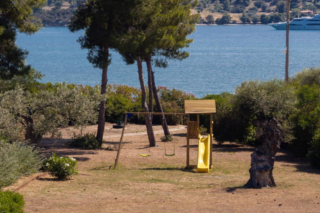 Album Image  #128757