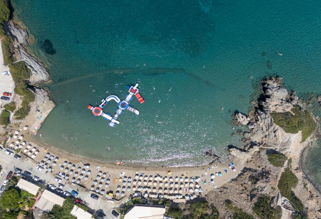 Album Image  #133573