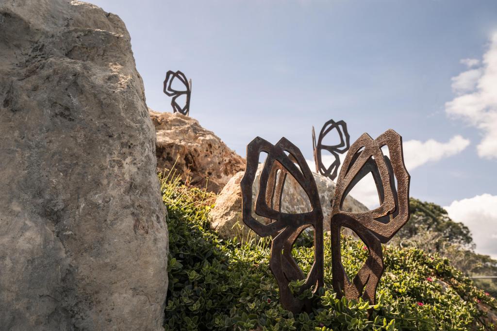 Album Image  #132358