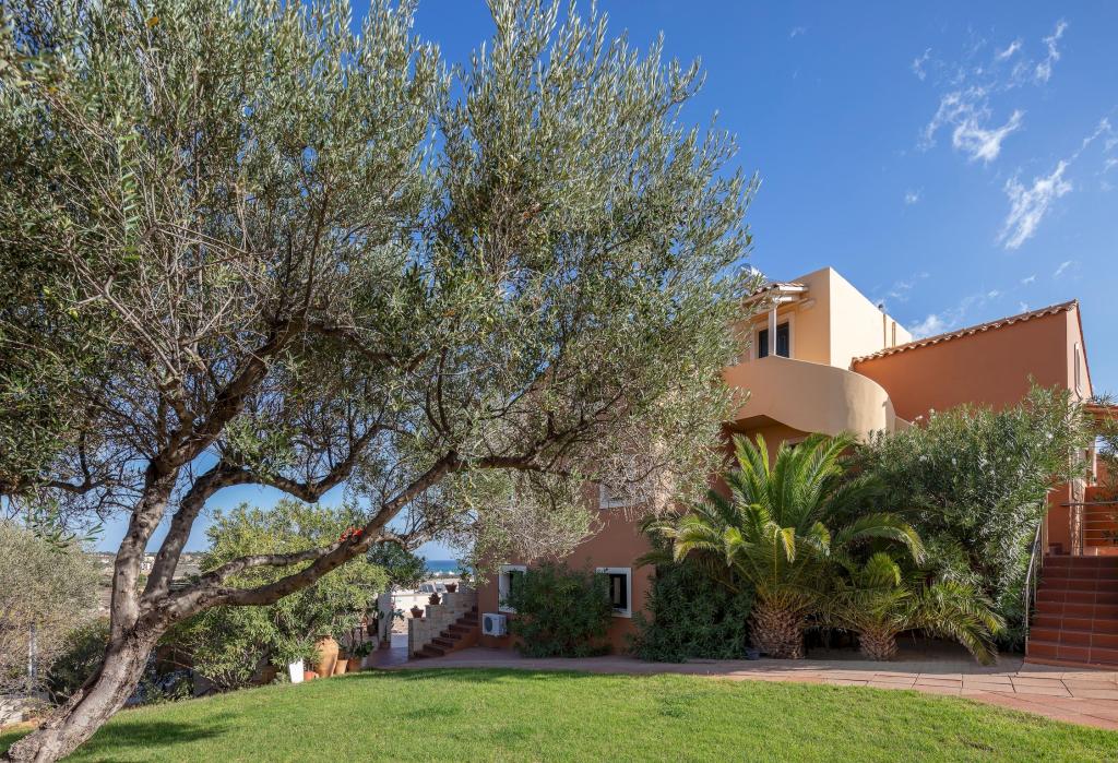 Album Image  #133553