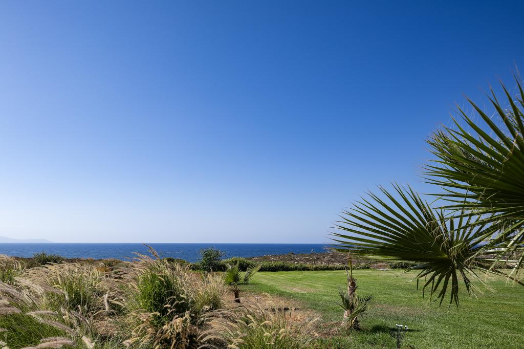 Album Image  #132811