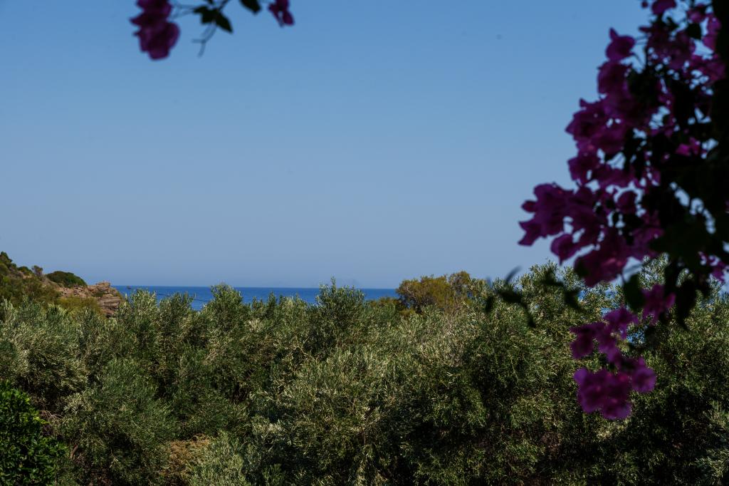 Album Image  #135312