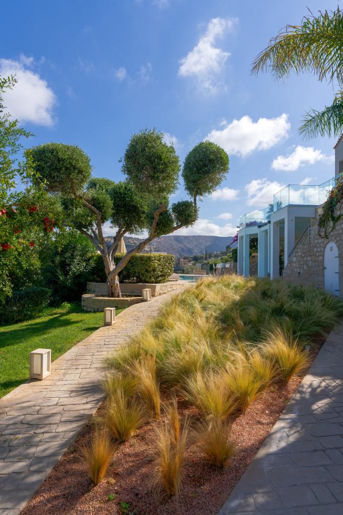 Album Image  #134987