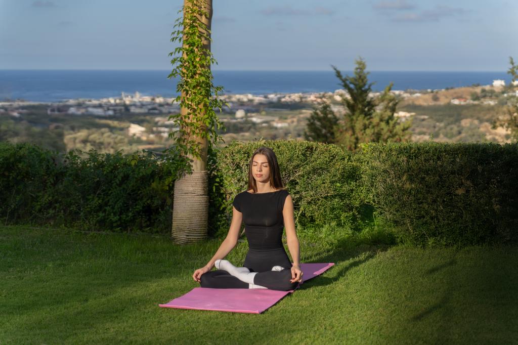 Album Image  #135361