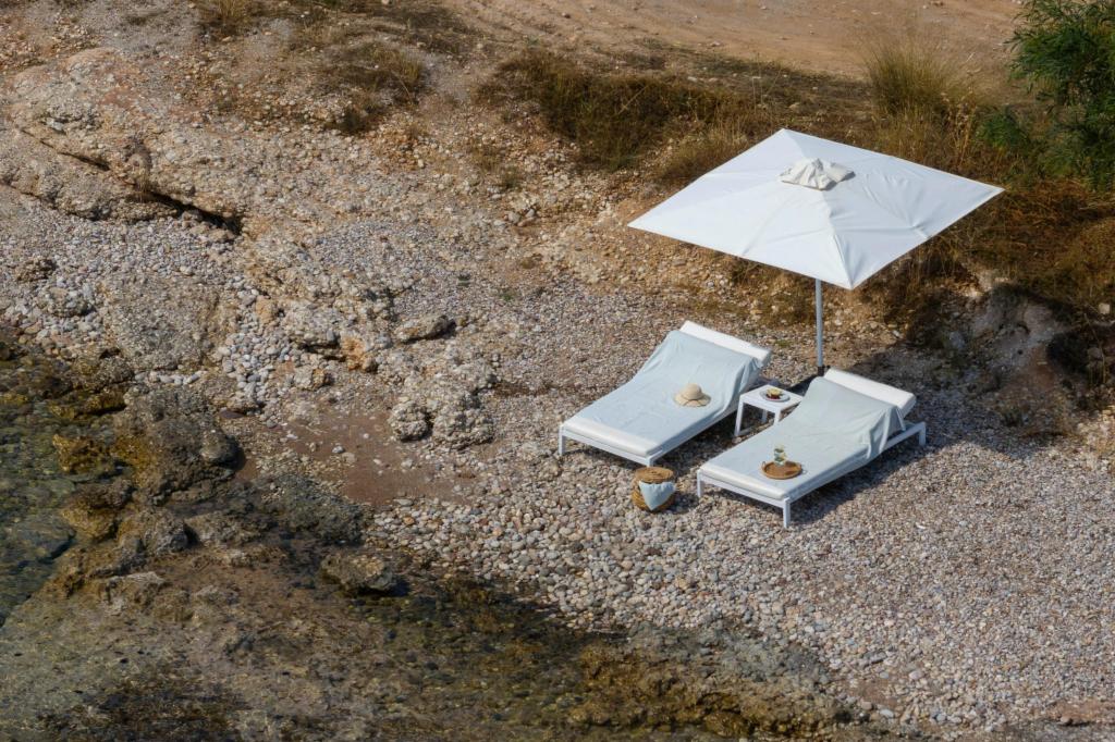 Album Image  #128781